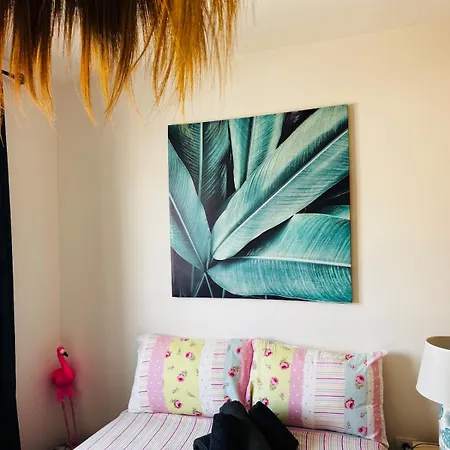 Casa Ibizkus La Oliva