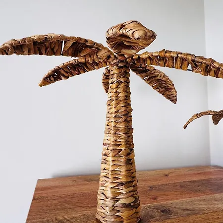 Casa Ibizkus La Oliva