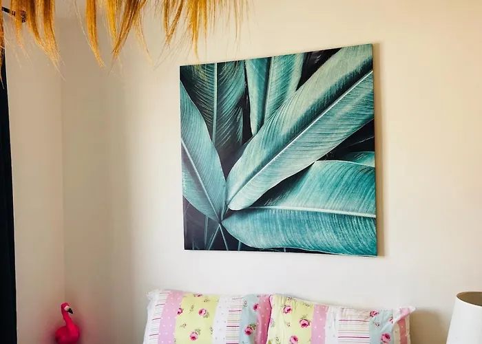 Casa Ibizkus - Rooftop - Sunset - Vue - Piscine לה אוליבה