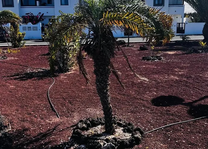 Casa Ibizkus - Rooftop - Sunset - Vue - Piscine בית נופש *