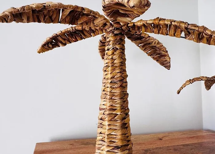 Casa Ibizkus - Rooftop - Sunset - Vue - Piscine לה אוליבה